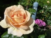 078